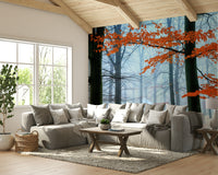 Trees are covered in a thin layer of frost or ice.
