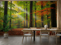 The overall feel is quiet and serene.

