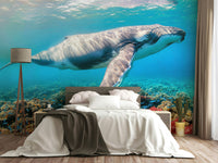 The image has a calm, tranquil mood.

