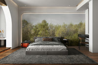 Birch Grove serene wallpaper

