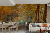 Serene Fall calm path mural

