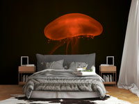 A contemplative sea life wallpaper mural for a feature wall.

