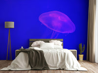 A beautiful aquarium scene wallpaper mural with colorful fish.

