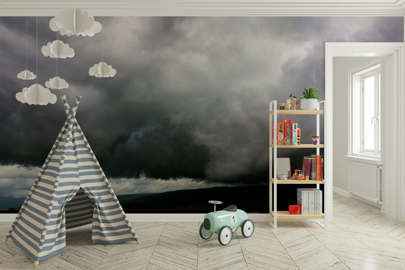 A beautiful Hula Valley wallpaper mural with lush greenery.

