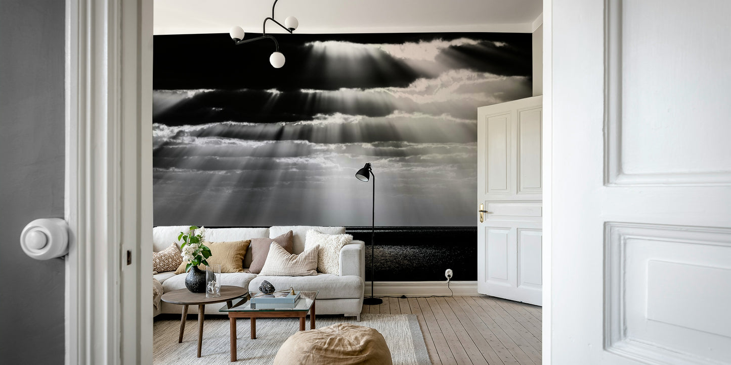 A contemplative dot design wallpaper mural for a feature wall.

