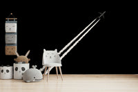 A beautiful monochrome wallpaper mural for a modern home.

