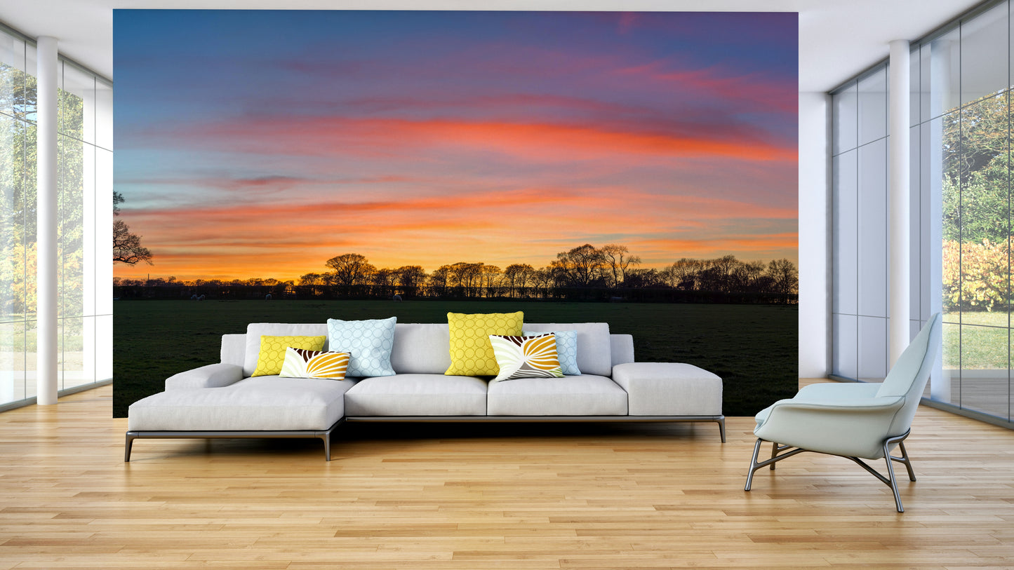 Serenity in Shadows Wall Mural