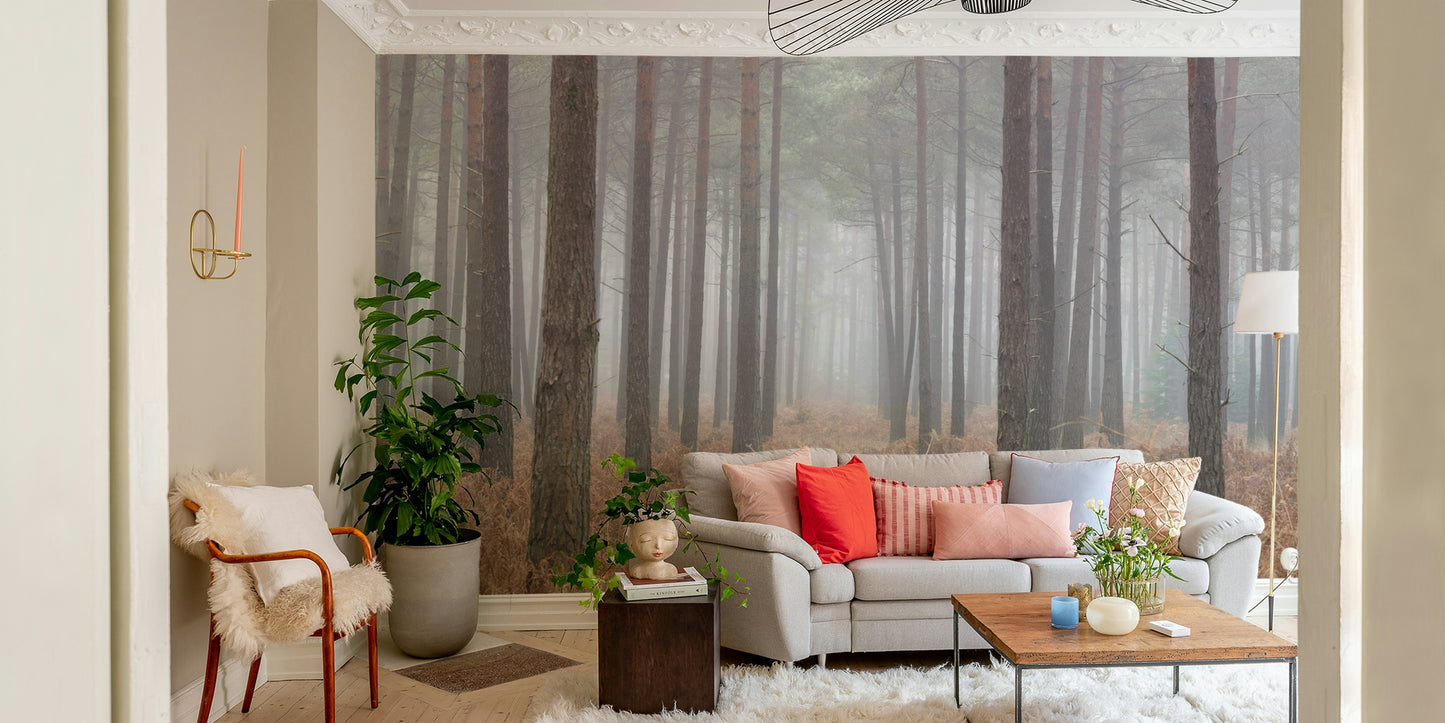 Misty Woodland Escape Wall Mural