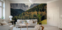A beautiful panoramic wall mural for a living room.

