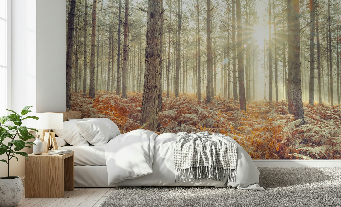Nature's Spotlight Wall Mural