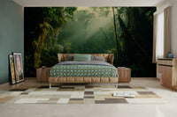 A classic forest scene wallpaper for walls.

