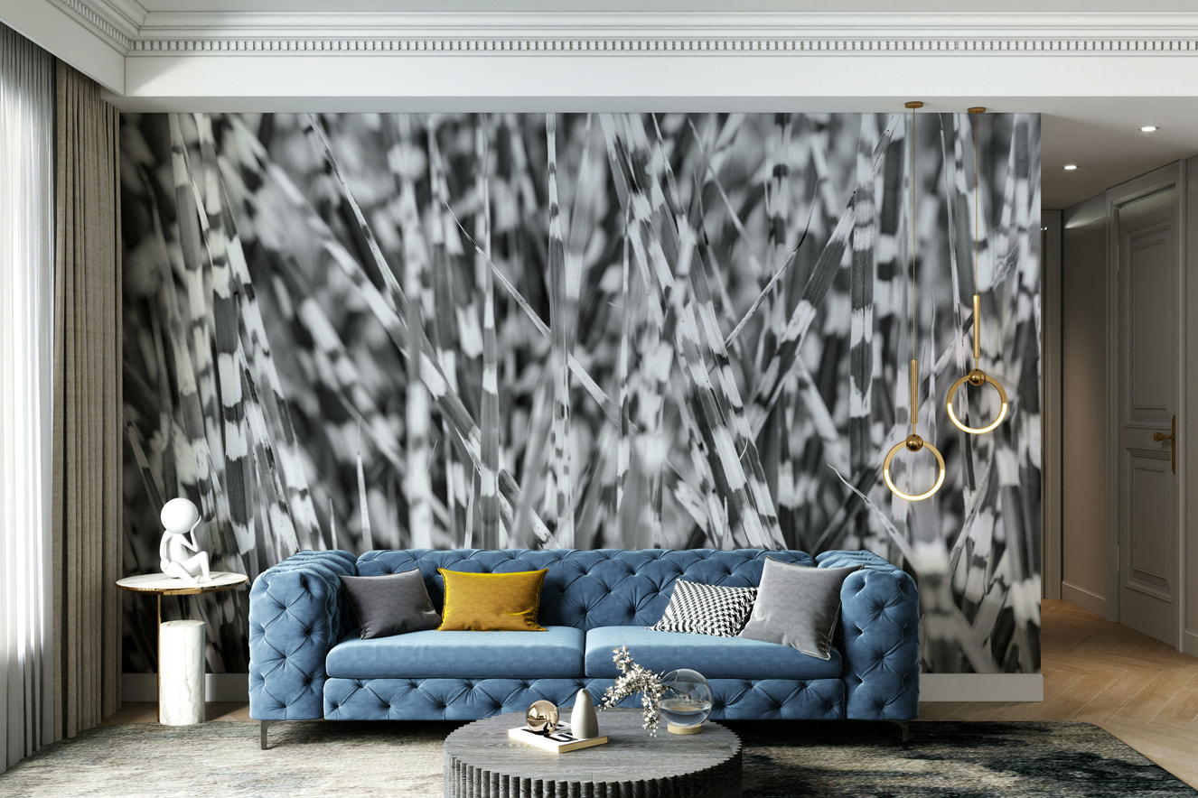 A beautiful monochrome zebra wallpaper mural with grass detail.

