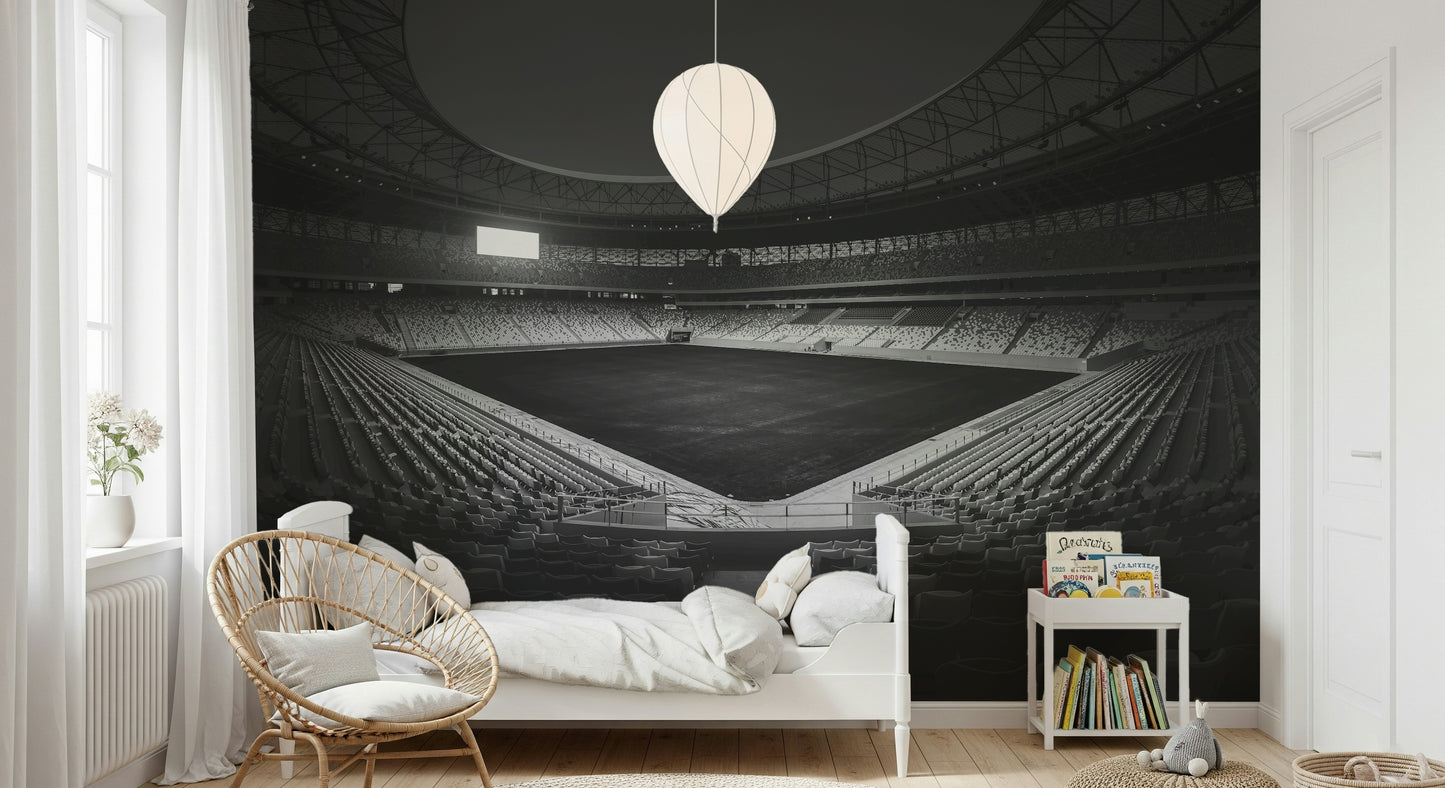 Stadium in Monochrome Wall Mural -2178152