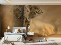 Decorative wall mural showcasing a powerful desert dust storm in warm earthy tones.