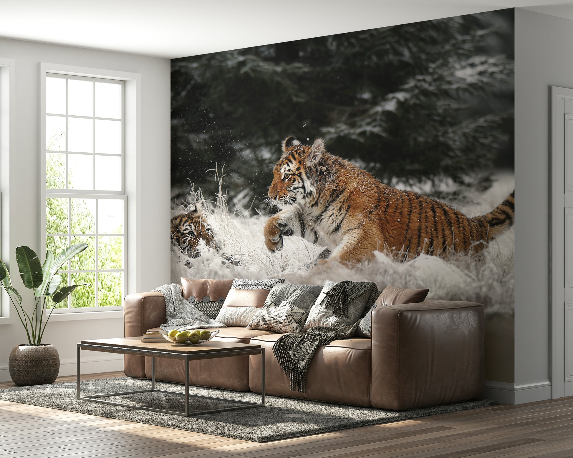 Tiger Cubs Feature Wall Mural – Charming mural showcasing playful tiger cubs in a winter wonderland setting.