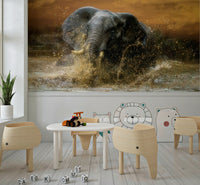 Elephant Plunge Wall Mural – Majestic elephants bathing in a serene waterhole, capturing wildlife in action.