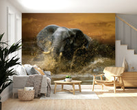 Wildlife Elephant Wall Mural – Detailed mural featuring elephants splashing and playing in a natural habitat.