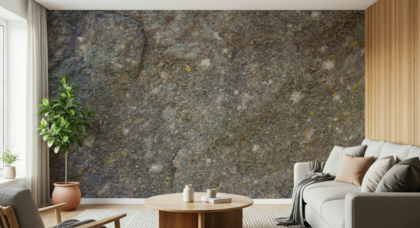 Textured Rock Surface Wall Mural -2566614