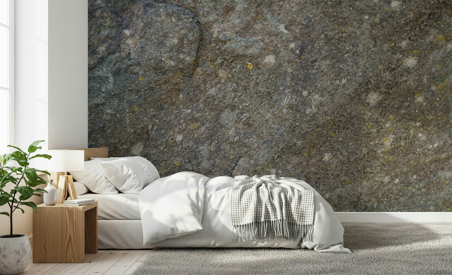 Textured Rock Surface Wall Mural -2566614