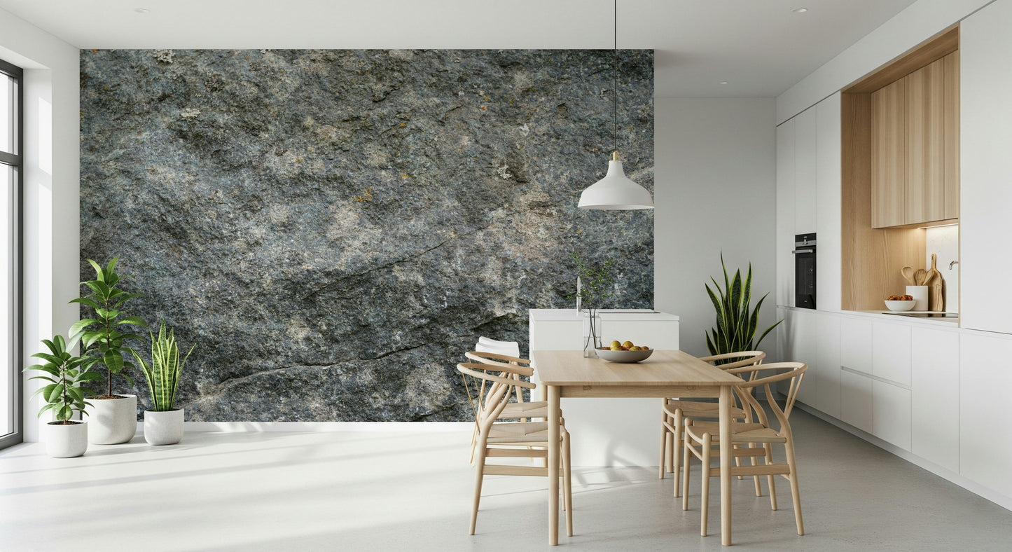 Textured Rock Wall Mural -2566593
