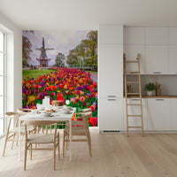Spring flower display Tulip Windmill Garden amazing wall mural