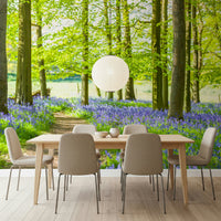 Amazing Bluebell Wonderland wallpaper woodland walk colorful scene