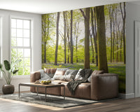 Wall mural Bluebell Woods panoramic vibrant spring landscape