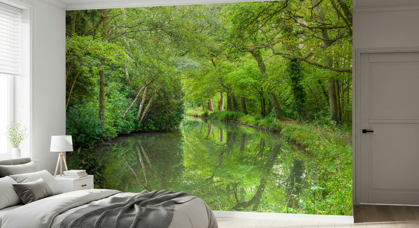 Idyllic forest stream, Stream Escape mural wallpaper, a superb, unspoilt natural image.