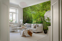 Forest canopy arching over still water; Verdant Stream Escape wallpaper.