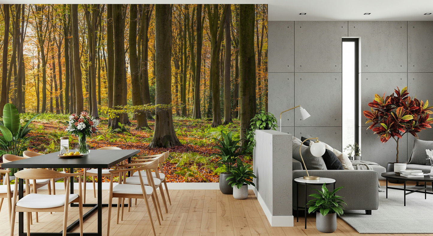Immersive Gilded Woods forest scene gilded in sunlight wall mural.