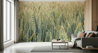A warm-toned wheat wallpaper capturing the gentle movement of sunlit fields.