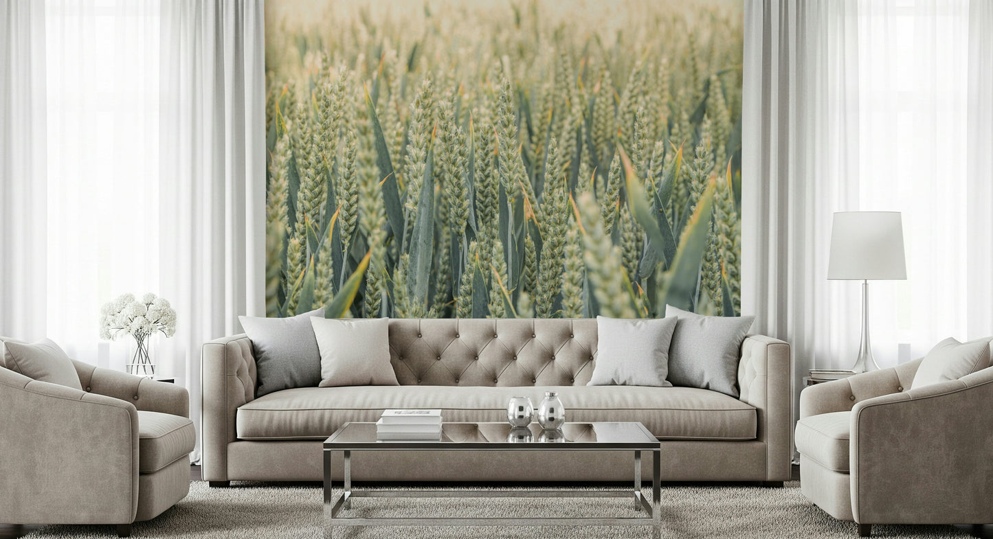 Soft, dreamy wheat stalks forming a calming countryside wallpaper design.