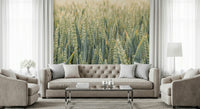 Soft, dreamy wheat stalks forming a calming countryside wallpaper design.