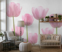Luminous Tulip photography wall mural aesthetic room.