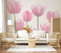 Airy light pink Bulbs nature wallpaper spring feeling.
