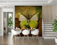 Gorgeous Golden Wings collage-style butterfly sophisticated wall decor.