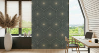 Clean linear fan design mural known as Geometric Radiance.
