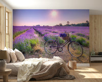 Vibrant Lavender Ride field picture, dreamy summer atmosphere art.