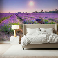 Basket of flowers Lavender Ride image, calming nature wallpaper for rooms.