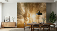 Mystical glow timber setting Golden Rays Through Trees covering.