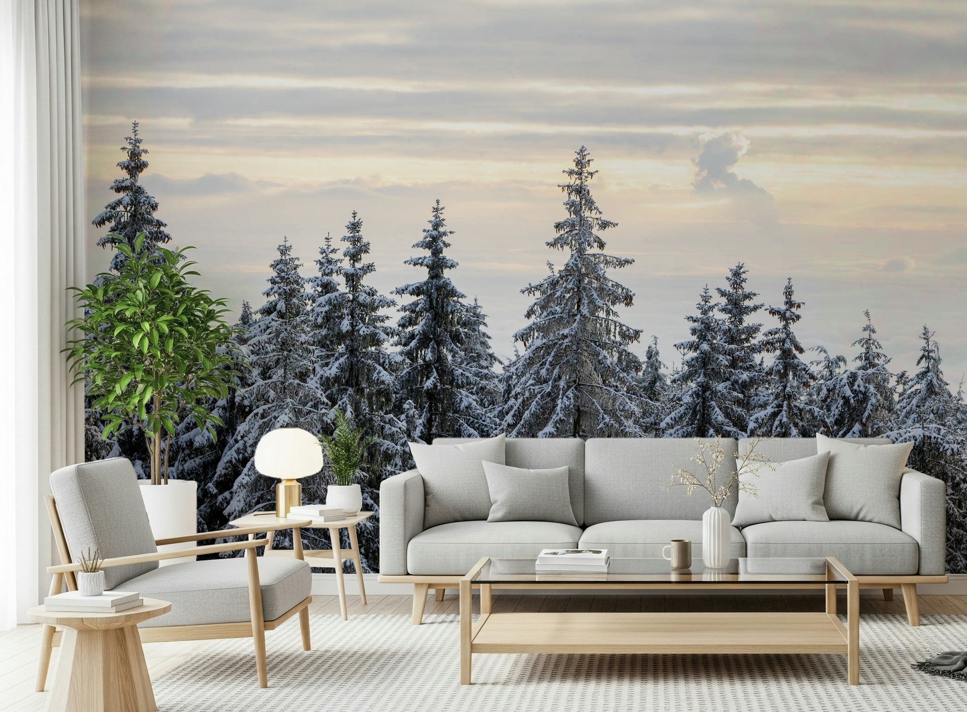 Pine tops covered snow wallpaper for walls serene photography.
