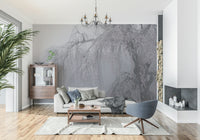 Grayscale Whispers of Spring beautiful cascading foliage.