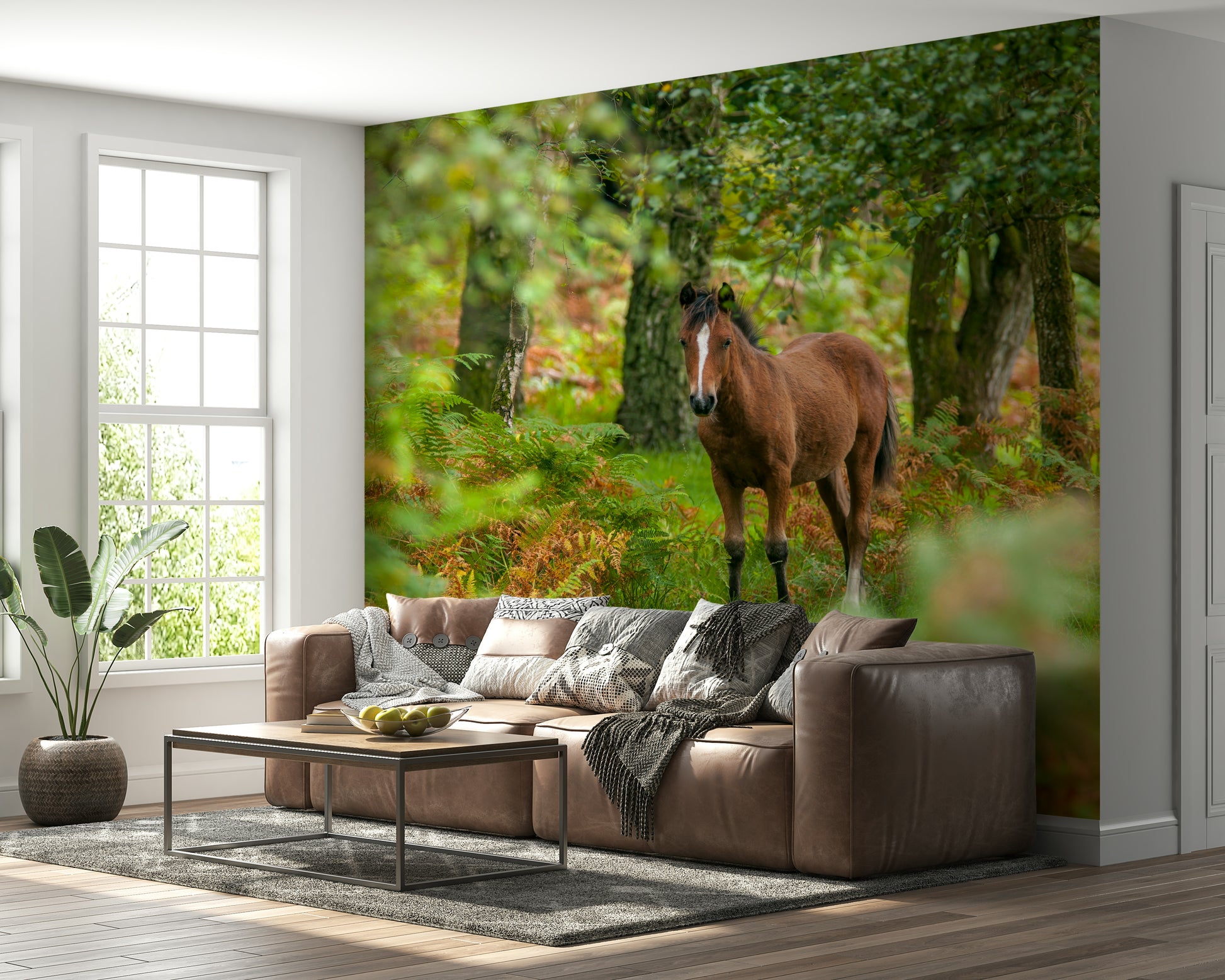 New Forest Nomad wall covering, captivating animal, dense forest backdrop.