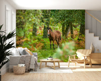 New Forest Nomad, beautiful animal portrait, leafy undergrowth design.
