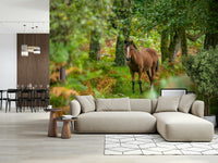 Forest pony wall mural, sweet foal, peaceful habitat, unique artwork.