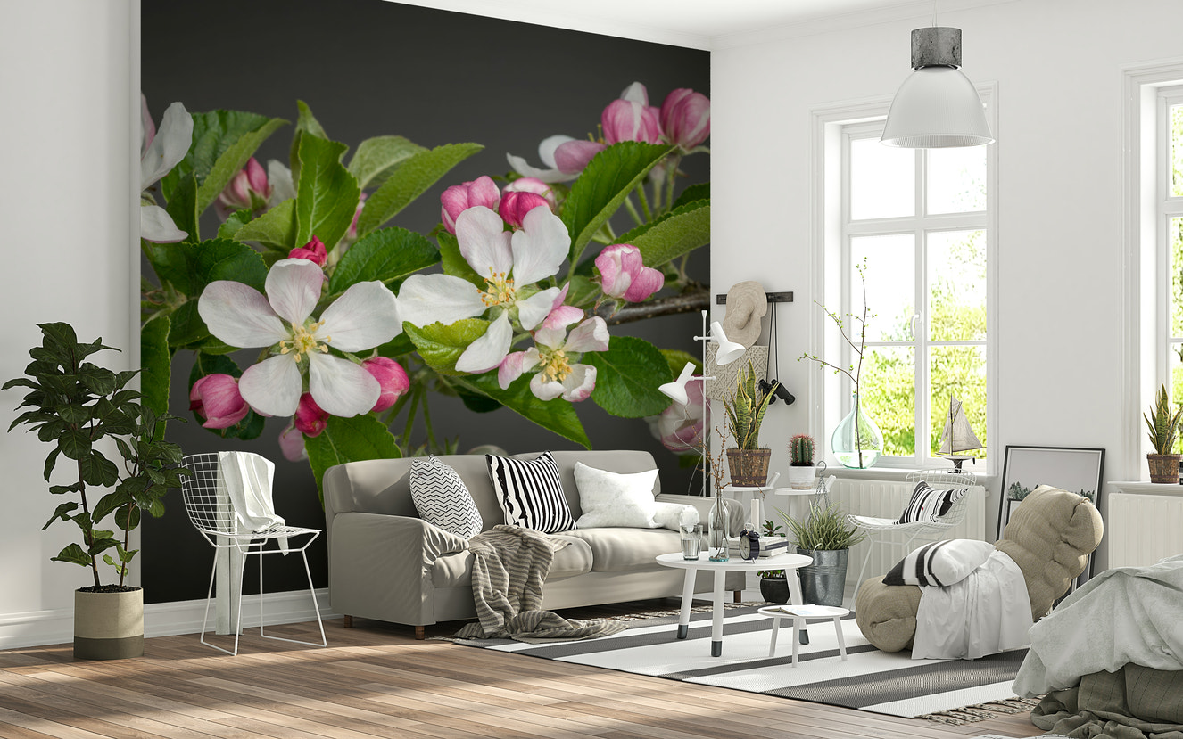 Apple Blossom Charm wall mural with soft pink flower buds.