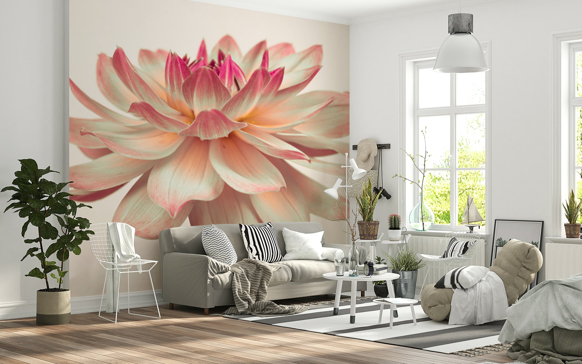 Oversized Pink Dahlia wallpaper, serene aesthetic décor.