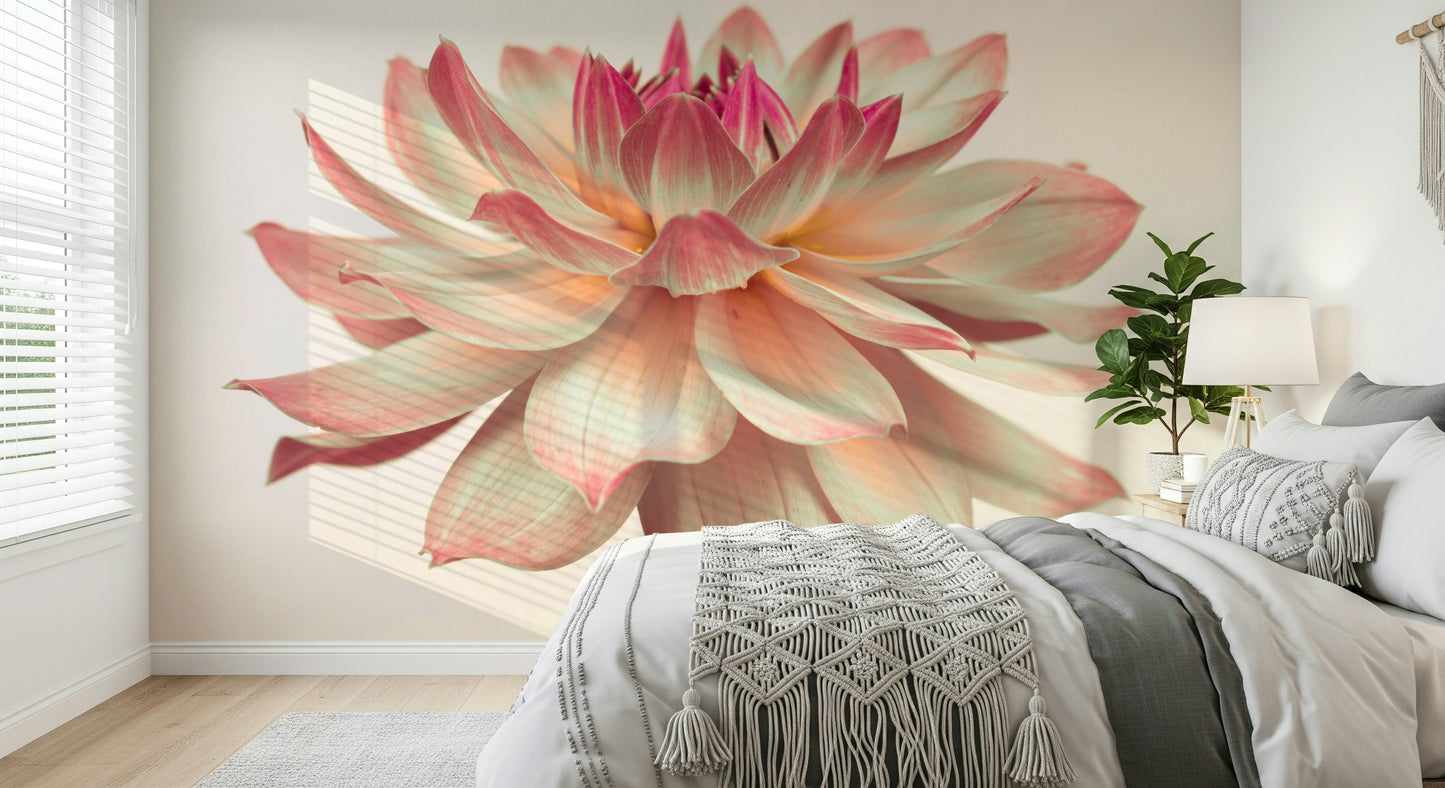 Blush Pink Dahlia removable wallpaper, dreamy flower scene.