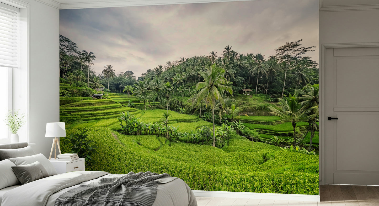 Bali Rice Terraces Wall Mural
