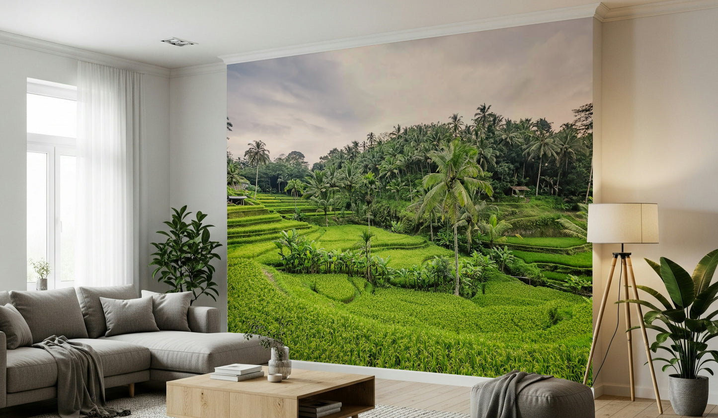 Bali Rice Terraces Wall Mural
